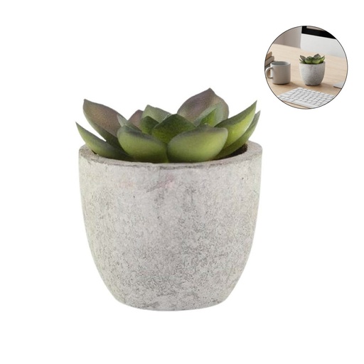 [MSSP 9223] CAMAS - Artificial Succulent Plant in Pulp Pot